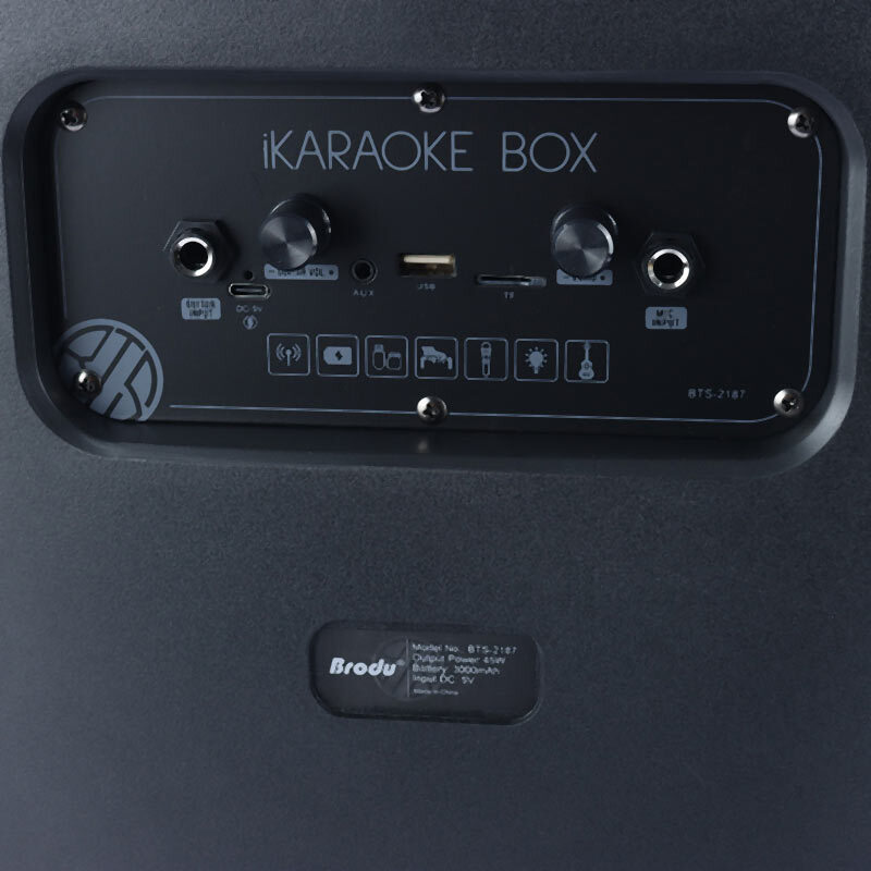 اسپیکر بلوتوثی برودو BTS-2187 + میکروفون - 7