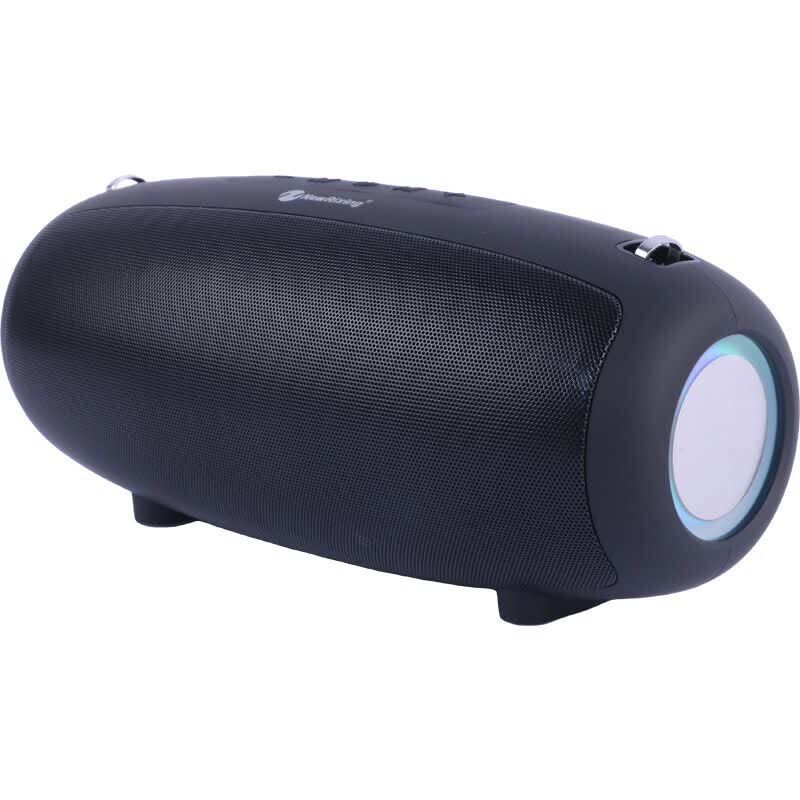 اسپیکر بلوتوثی نیو ریکسینگ NR-6018M + میکروفون - 4