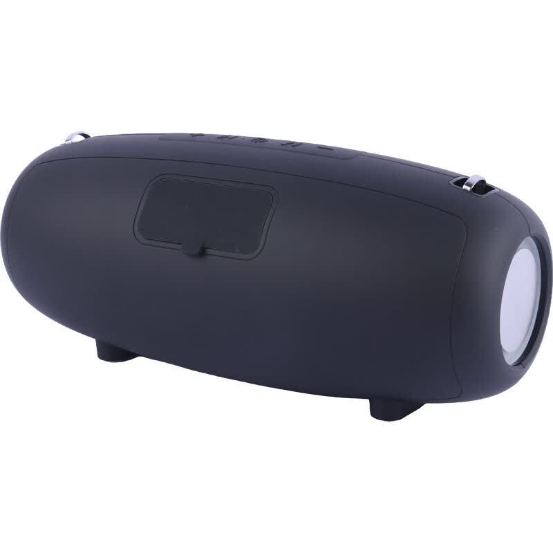 اسپیکر بلوتوثی نیو ریکسینگ NR-6018M + میکروفون - 5
