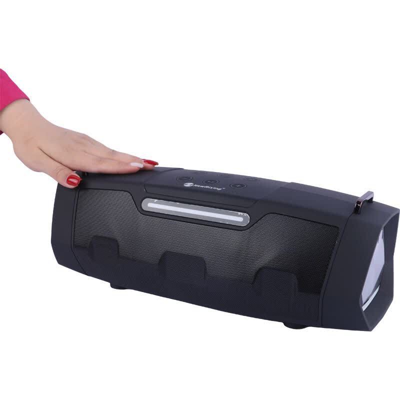 اسپیکر بلوتوثی نیو ریکسینگ NR-8888W + میکروفون - 4
