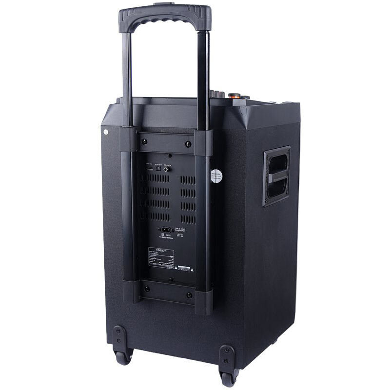 اسپیکر چمدانی بلوتوثی ایکس انرژی Thunder + میکروفون و ریموت کنترل - 7