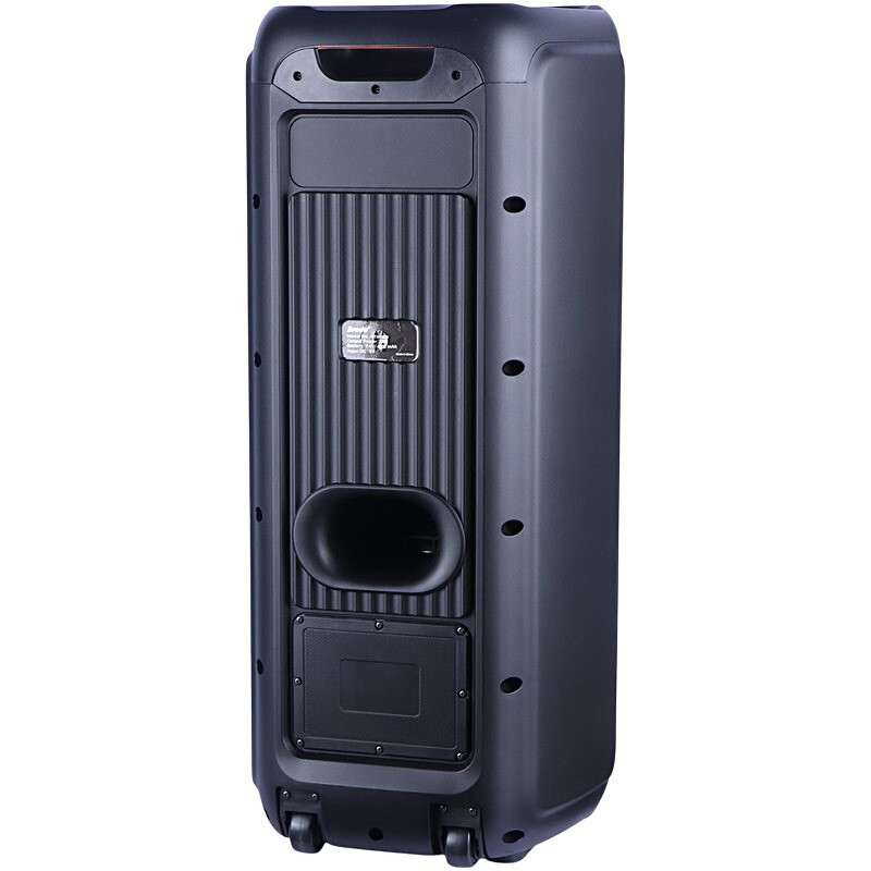 اسپیکر چمدانی بلوتوثی برودو BTS-1829 + میکروفون و ریموت کنترل - 6