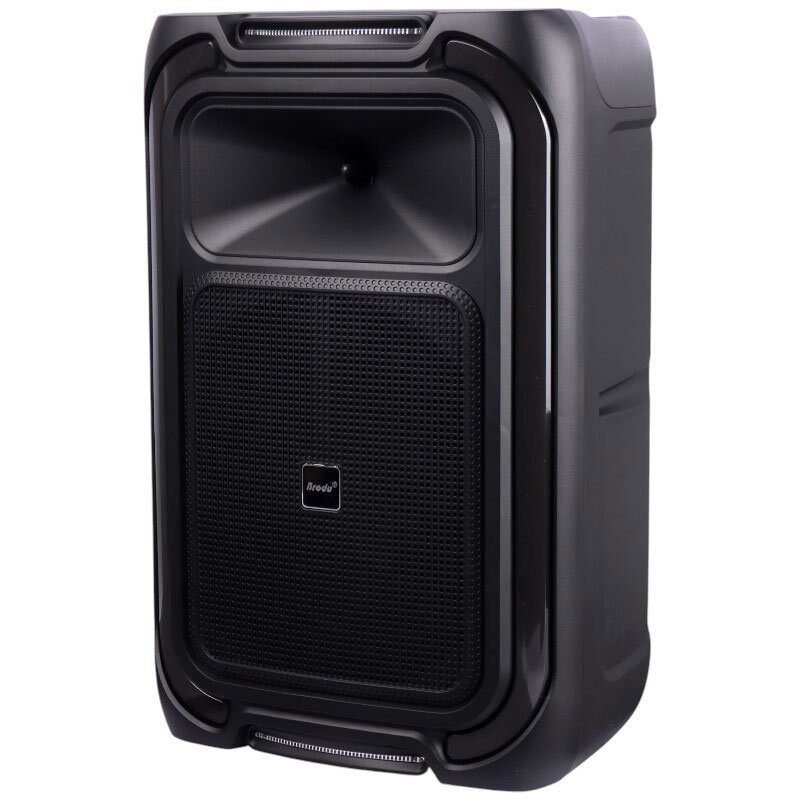 اسپیکر چمدانی بلوتوثی برودو BTS-1890 + میکروفون - 3