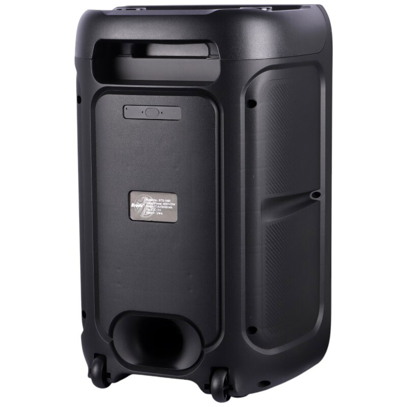 اسپیکر چمدانی بلوتوثی برودو BTS-1890 + میکروفون - 5
