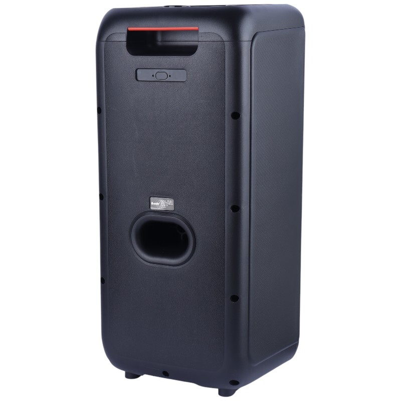 اسپیکر چمدانی بلوتوثی برودو BTS-1910 + میکروفون و ریموت کنترل - 5