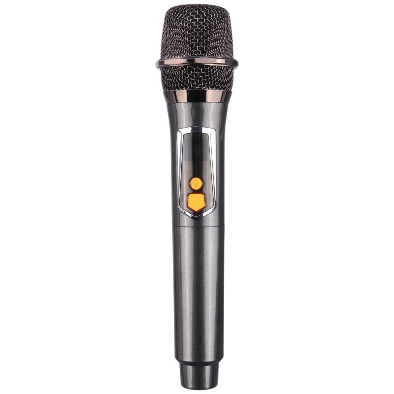 اسپیکر چمدانی بلوتوثی برودو BTS-1910 + میکروفون و ریموت کنترل - 7