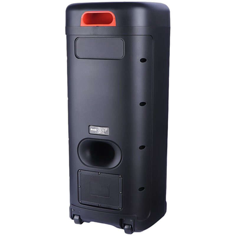اسپیکر چمدانی بلوتوثی برودو BTS-2121 + میکروفون و ریموت کنترل - 6