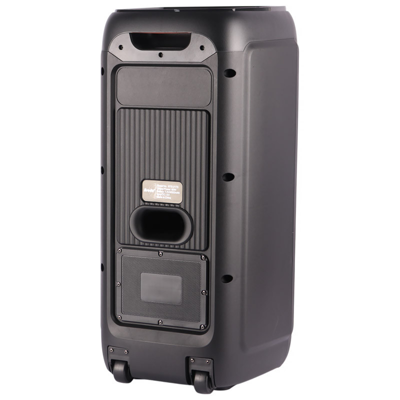 اسپیکر چمدانی بلوتوثی برودو BTS-2173 + میکروفون - 5