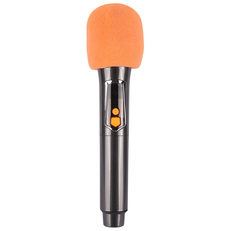 اسپیکر چمدانی بلوتوثی برودو BTS-2173 + میکروفون - 6