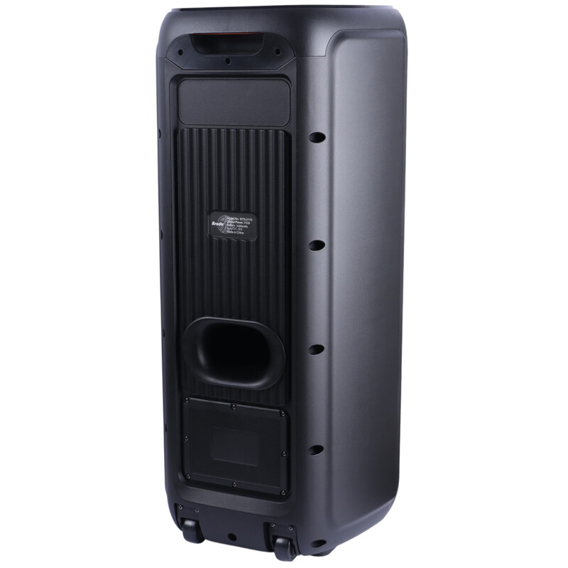 اسپیکر چمدانی بلوتوثی برودو BTS-2175 + میکروفون - 5