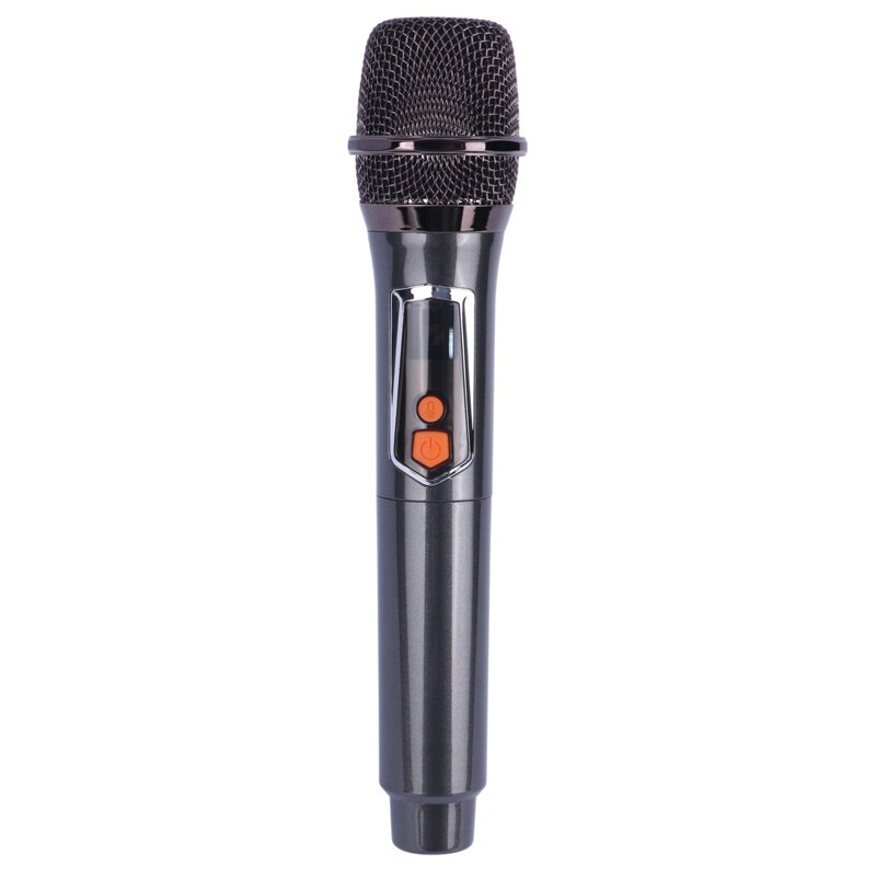 اسپیکر چمدانی بلوتوثی برودو BTS-2175 + میکروفون - 8