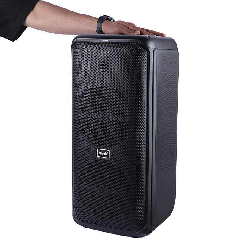 اسپیکر چمدانی بلوتوثی برودو BTS-2225 + میکروفون - 8