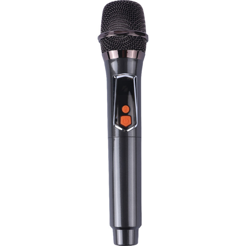 اسپیکر چمدانی بلوتوثی برودو BTS-2242 + میکروفون و ریموت کنترل - 8