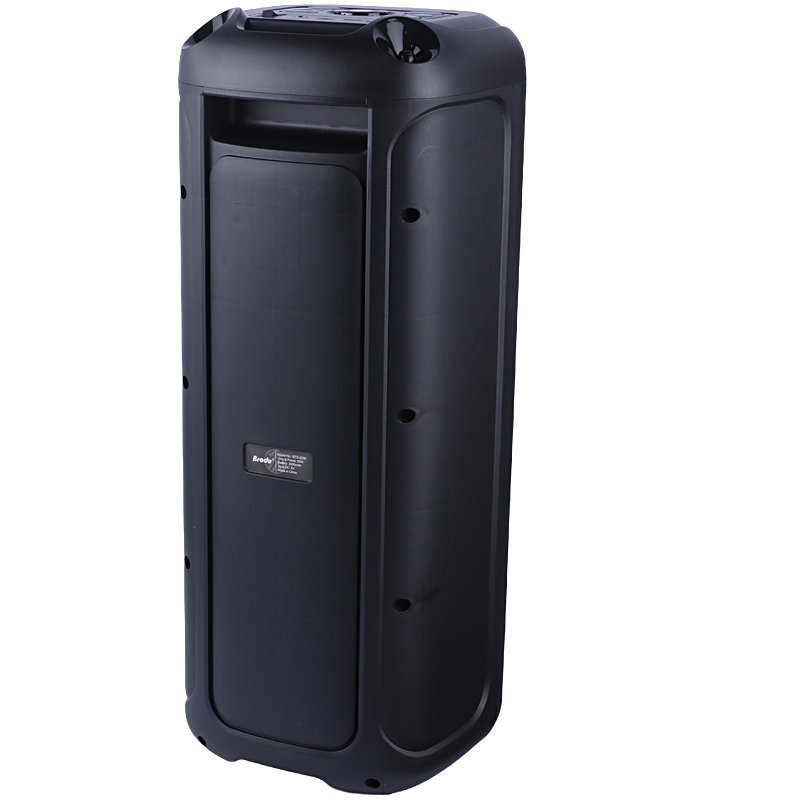 اسپیکر چمدانی بلوتوثی برودو BTS-2258 + میکروفون - 6