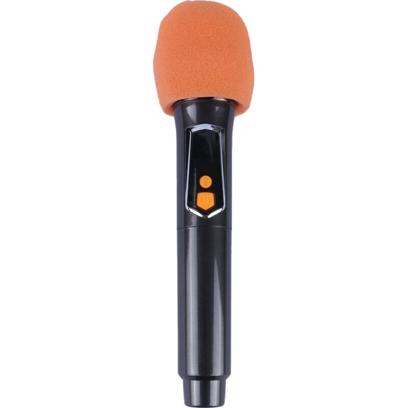 اسپیکر چمدانی بلوتوثی برودو BTS-2258 + میکروفون - 7