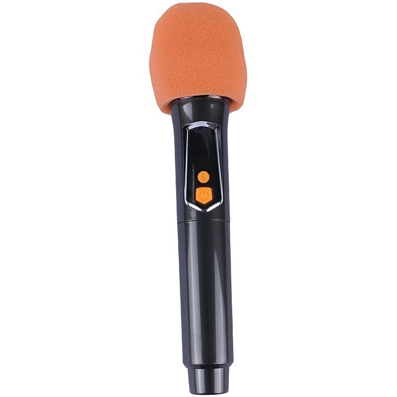 اسپیکر چمدانی بلوتوثی برودو BTS-2261 + میکروفون - 7
