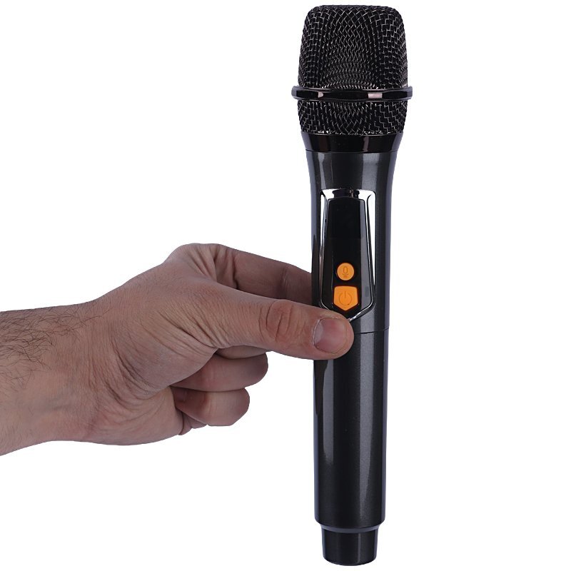 اسپیکر چمدانی بلوتوثی برودو BTS-2261 + میکروفون - 8