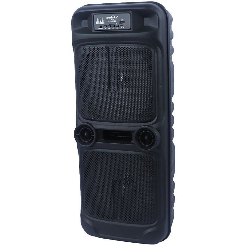 اسپیکر چمدانی بلوتوثی گریت نایس GTS-2021 + میکروفون - 7