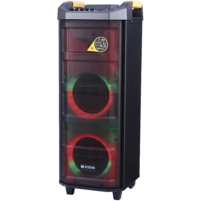 اسپیکر چمدانی بلوتوثی کداک RTS-4107 + میکروفون و ریموت کنترل - 8