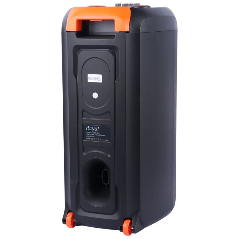 اسپیکر چمدانی بلوتوثی رویال RSP-820 + میکروفون و ریموت کنترل - 5