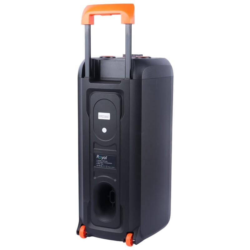 اسپیکر چمدانی بلوتوثی رویال RSP-820 + میکروفون و ریموت کنترل - 6