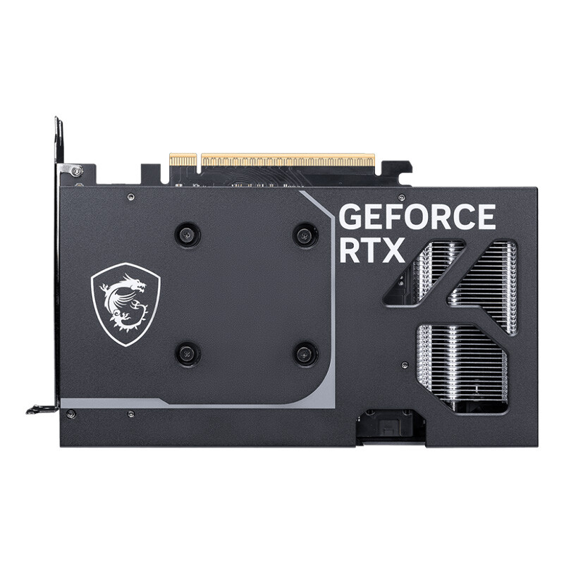 کارت گرافیک MSI GeForce RTX 5060 VENTUS 2X OC 8GB GDDR7 128Bit - 4